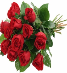 red-roses_1400x